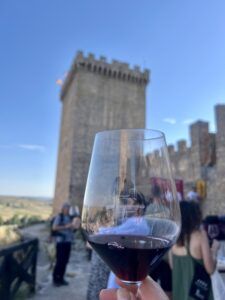 Cata de Vinos en castillo 