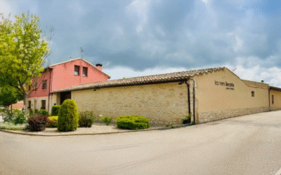 Peaceful Getaways for Women: Wine, Nature & Wellness in Ribera del Duero